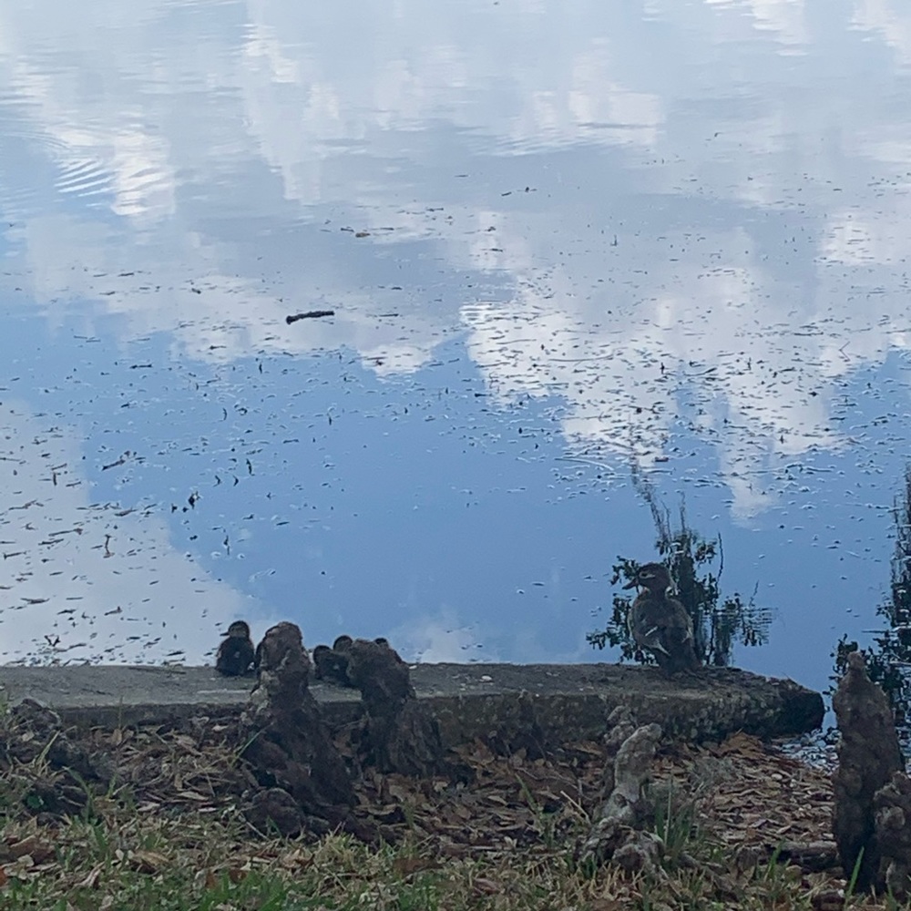 Meet your Posher, Find.It.Here